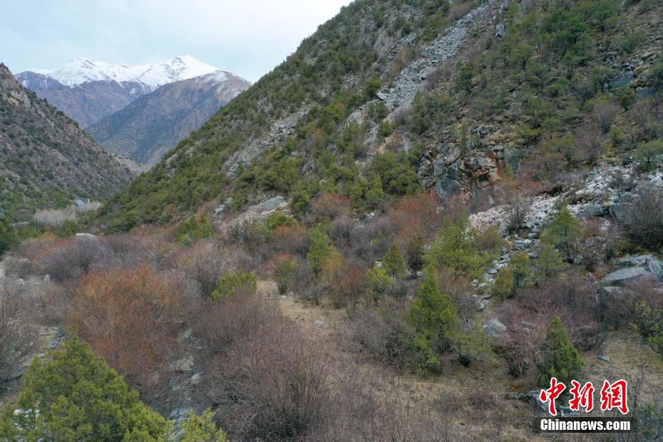勒巴沟峡谷环境与摩崖石刻