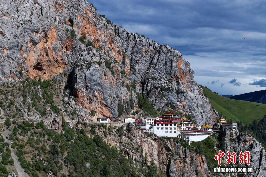 在寺院周边活动的岩羊