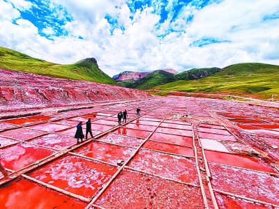 白扎盐场全景：山坡上梯田般的盐畦