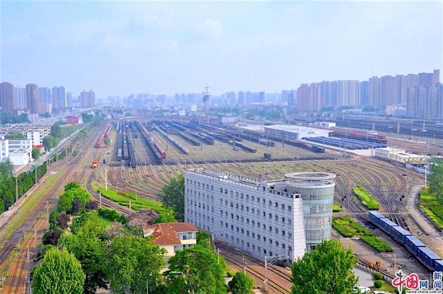 编组场内调车机车与货运列车排列在密集的轨道网络中