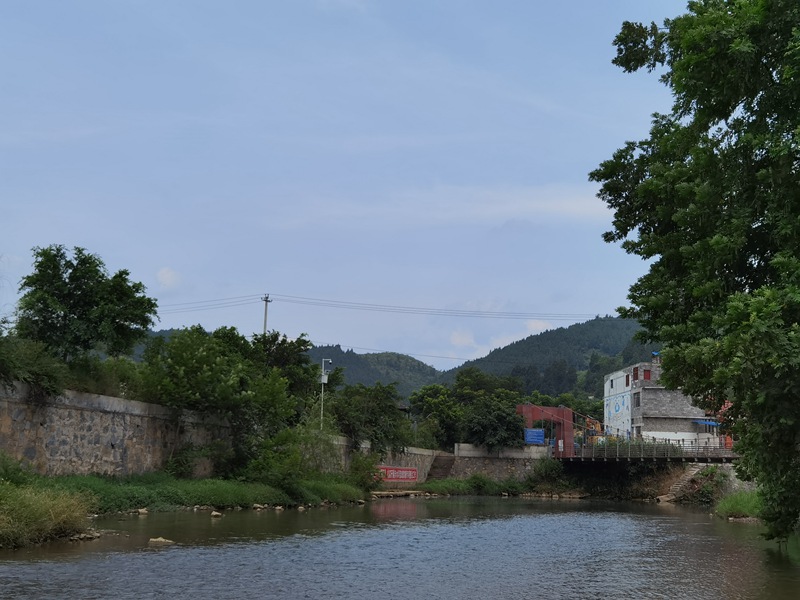 五马河三元村段的清澈河水，可见河底卵石与水草