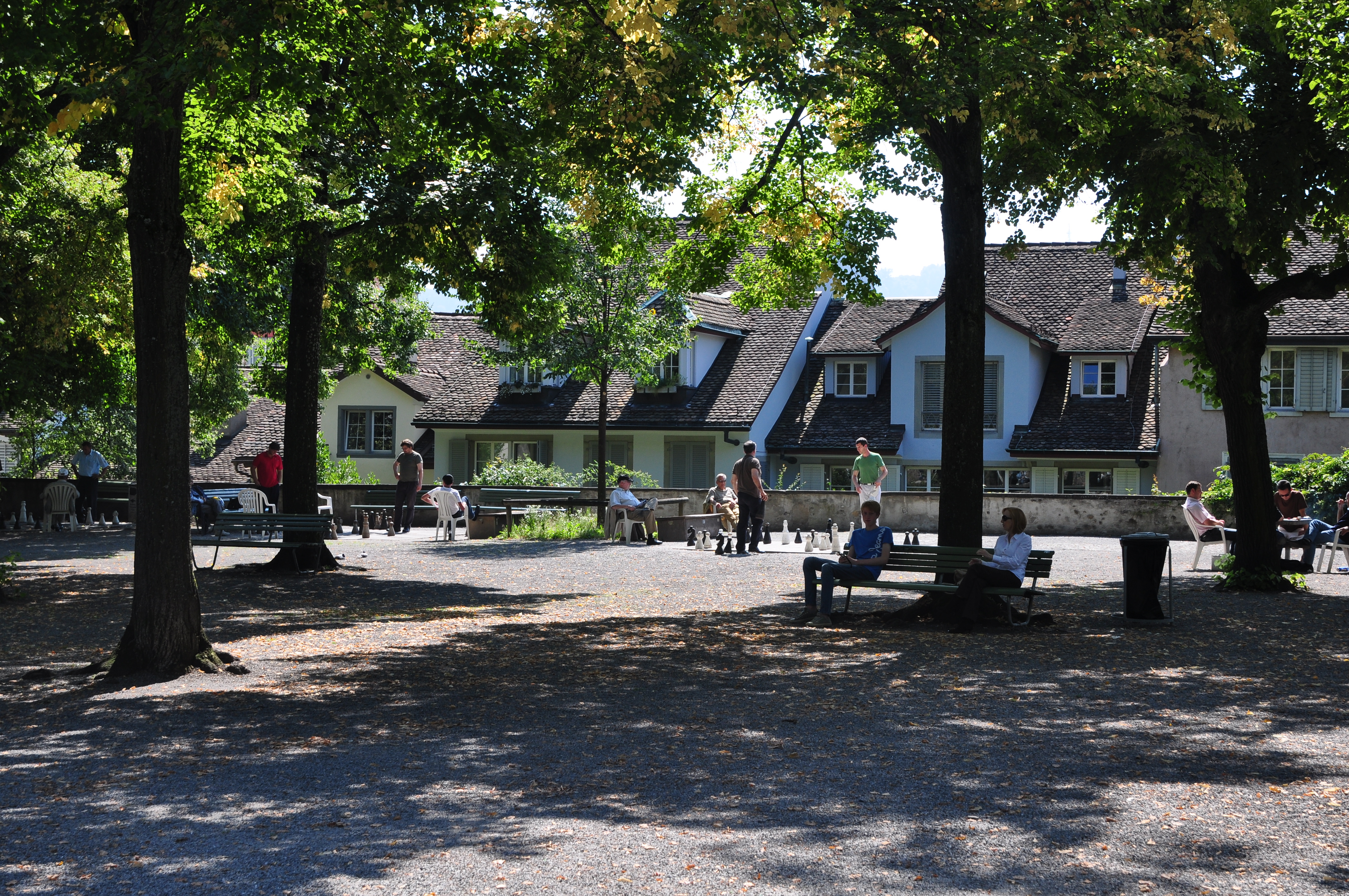 Lindenhof 山顶广场全景，西向视角